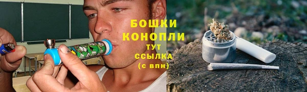 сатива Балабаново