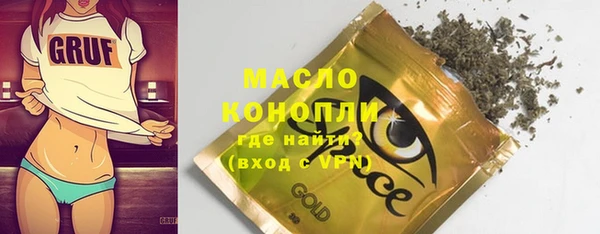 индика Баксан