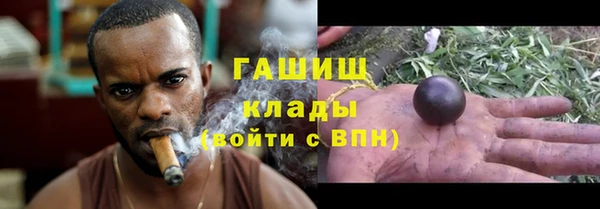 индика Баксан