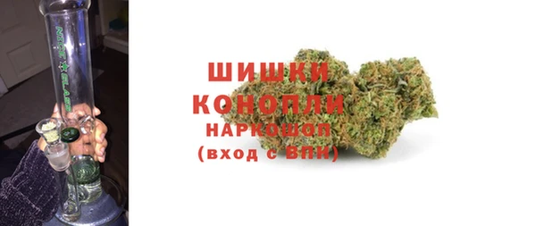 индика Баксан