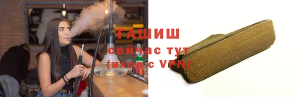 соль ск Ельня