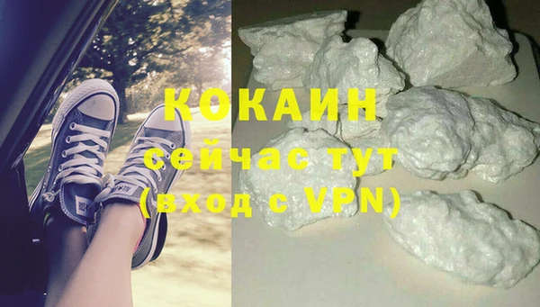 индика Баксан