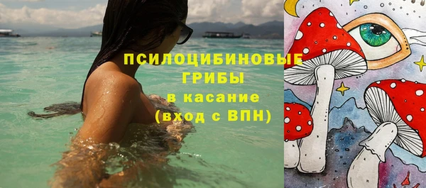 индика Баксан