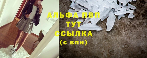 СК Балахна
