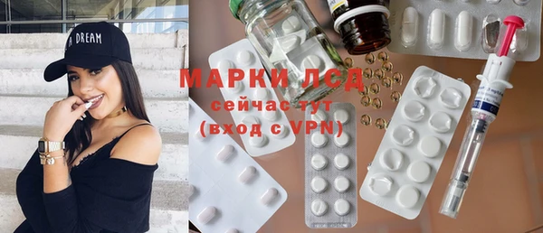 индика Баксан