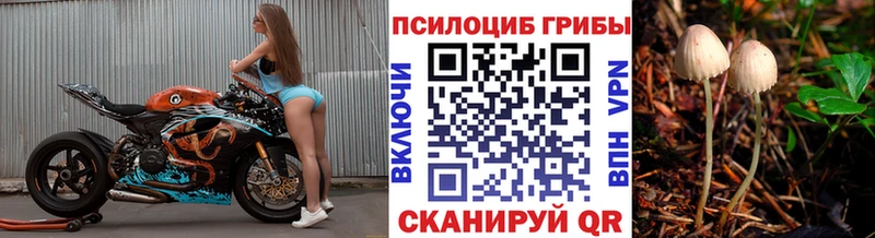 даркнет состав Великий Устюг Галлюциногенные грибы Magic Shrooms
